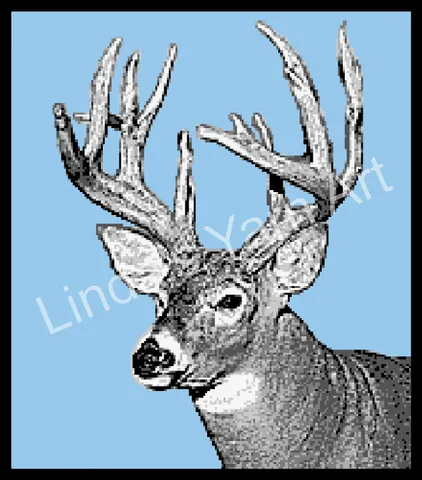 Deer Portrait