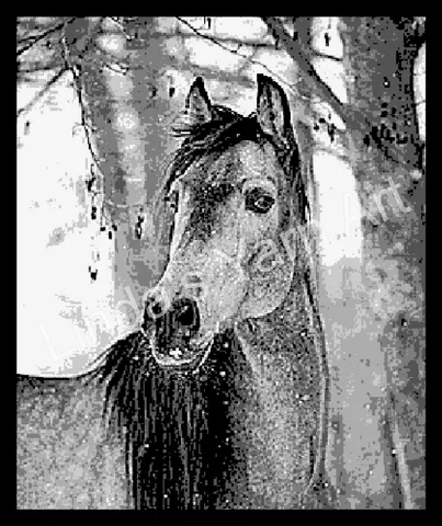Gray Horse