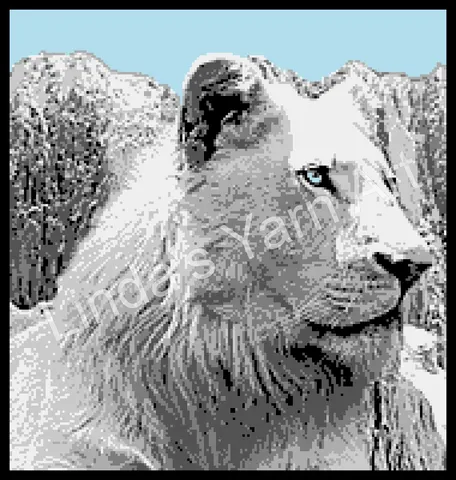 White Lion
