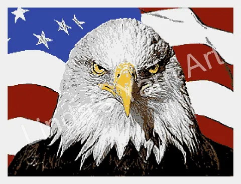 Eagle Flag Portrait