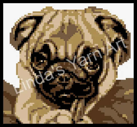 Pug Dog