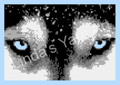 Wolf Eyes
