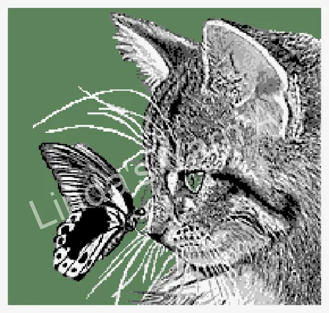Butterfly on Cat