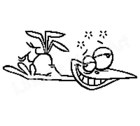 Crazy Bird