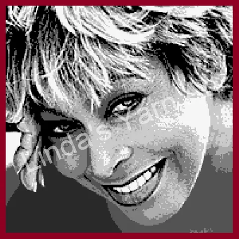 Tina Turner
