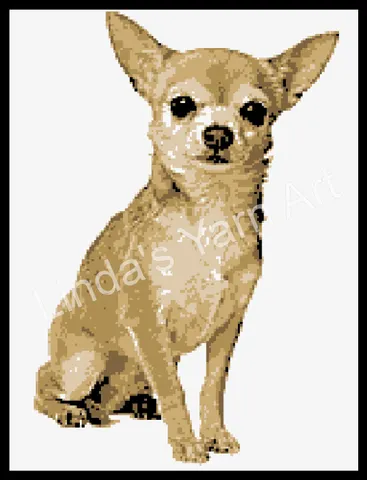 Chihuahua