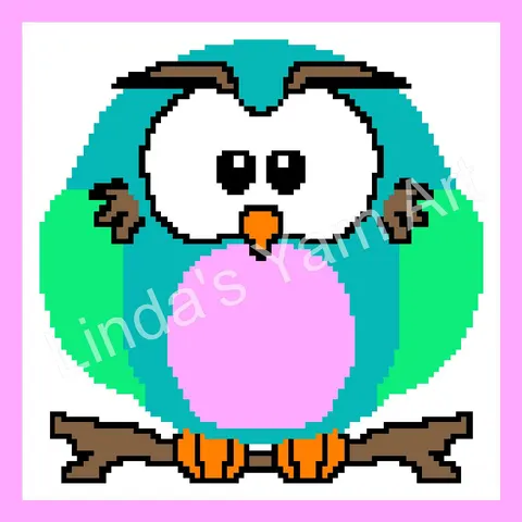 Baby Owl