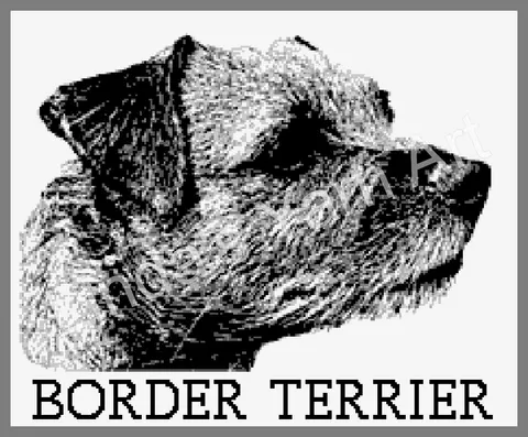 Border Terrier
