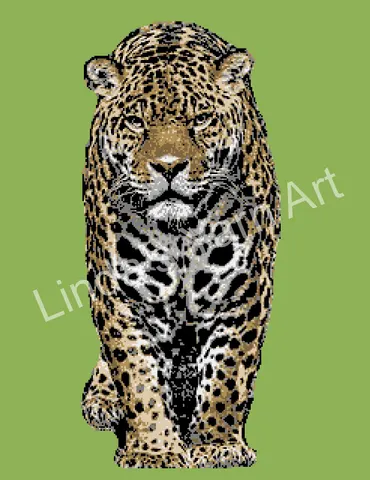 Leopard