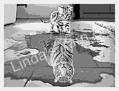 Kitten Sees Tiger